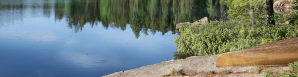 environment